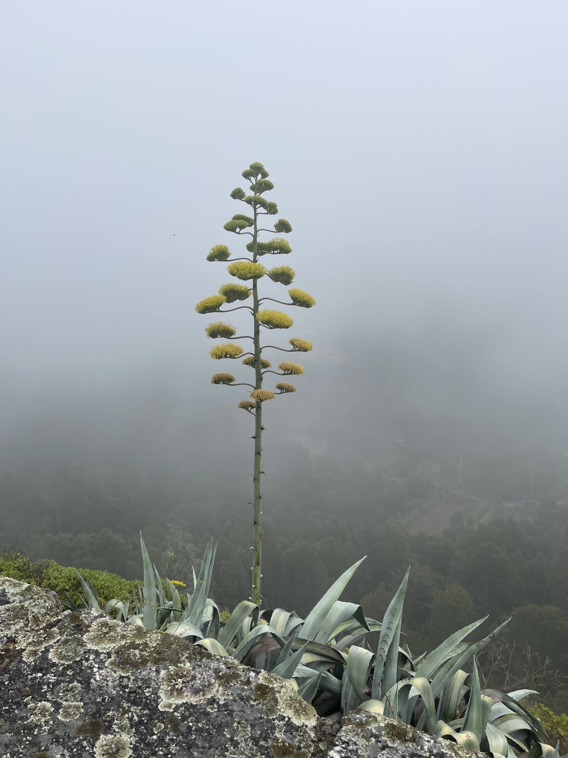 Beautiful mountains of Portugal