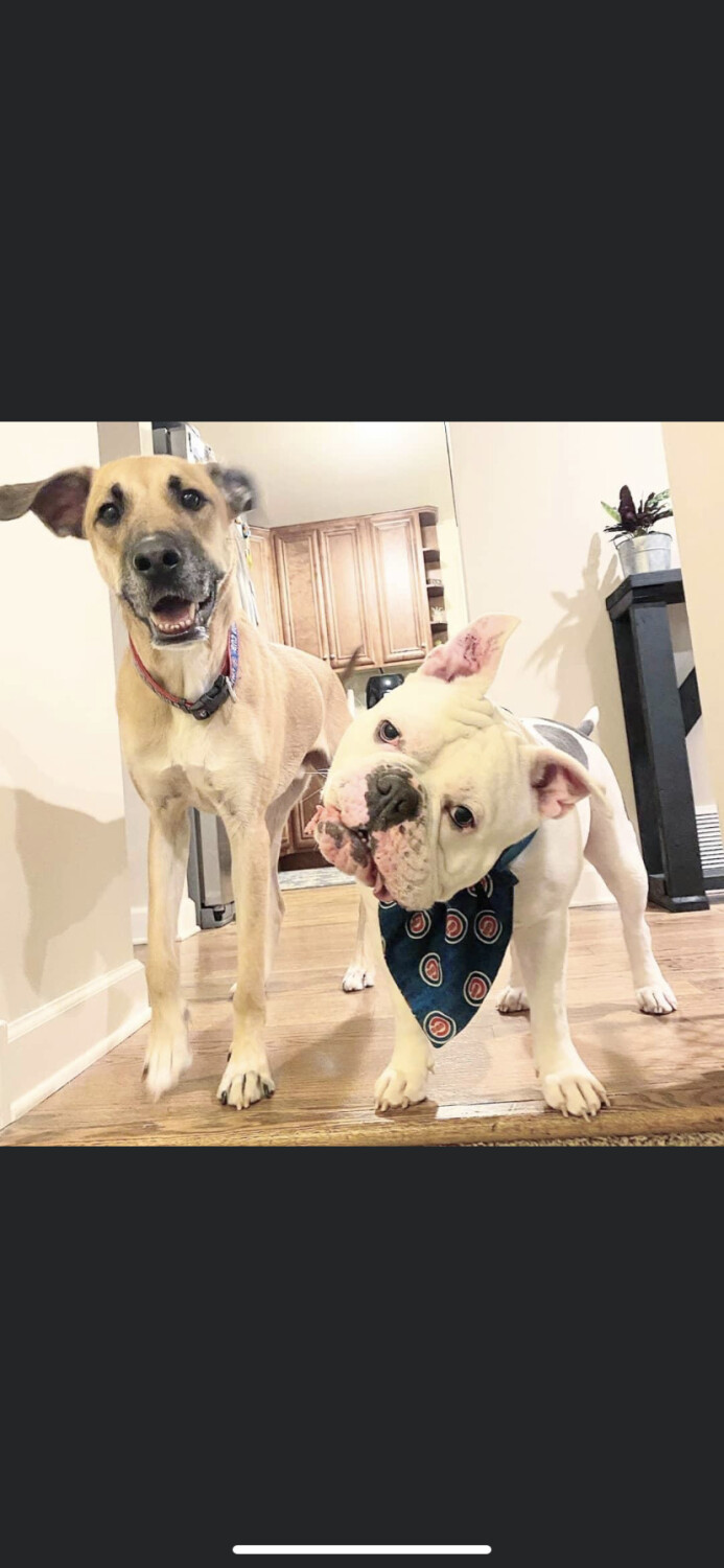 “How Was Your Day at Work Dad”?