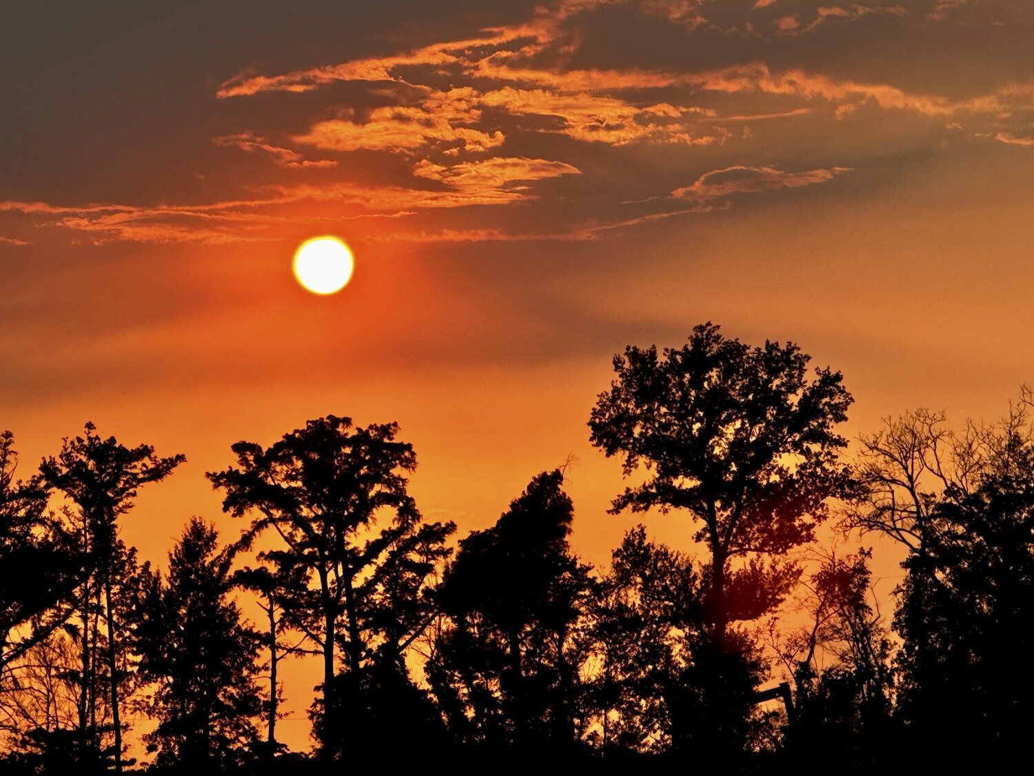 Sunset and silhouettes