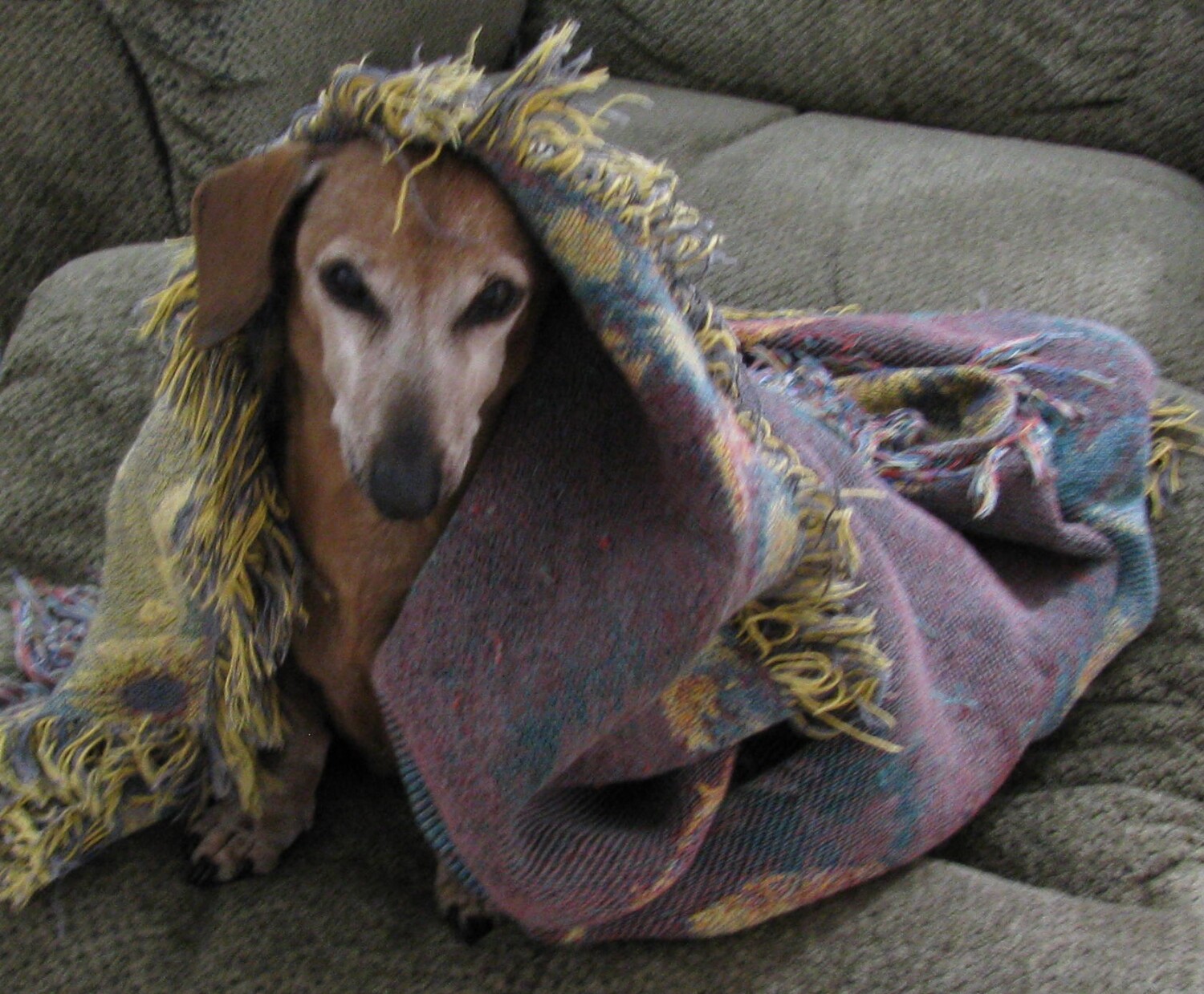 Toby's "Are We Done Yet?"