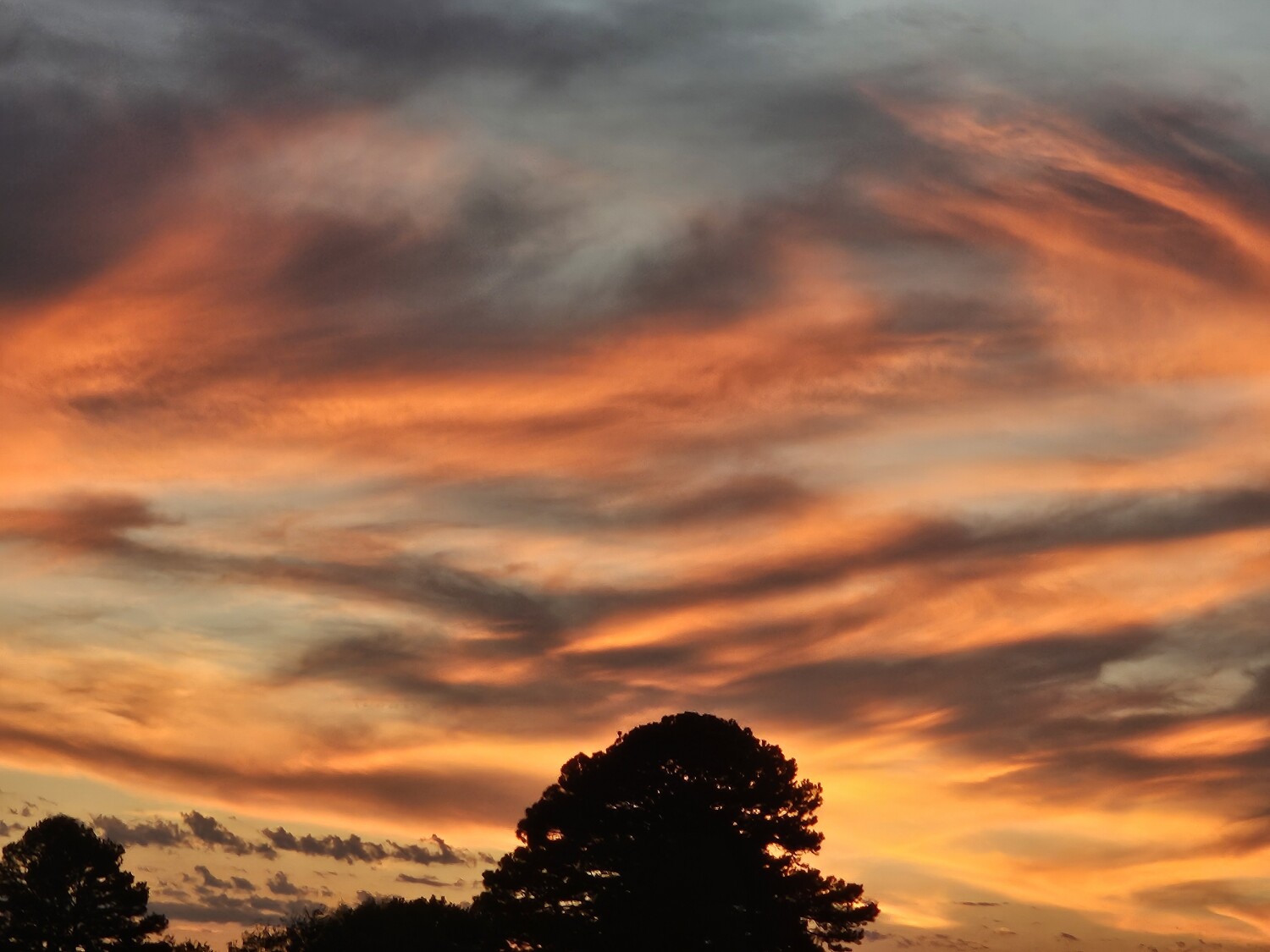 Leflore County Sunset