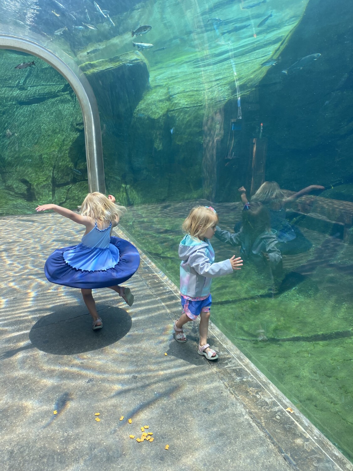 Twirl at the Columbus zoo!