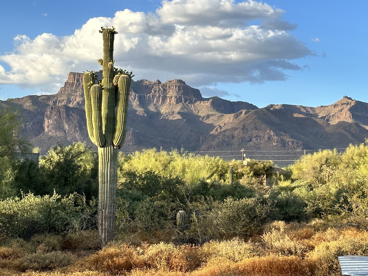Back yard view Superstition  mountain