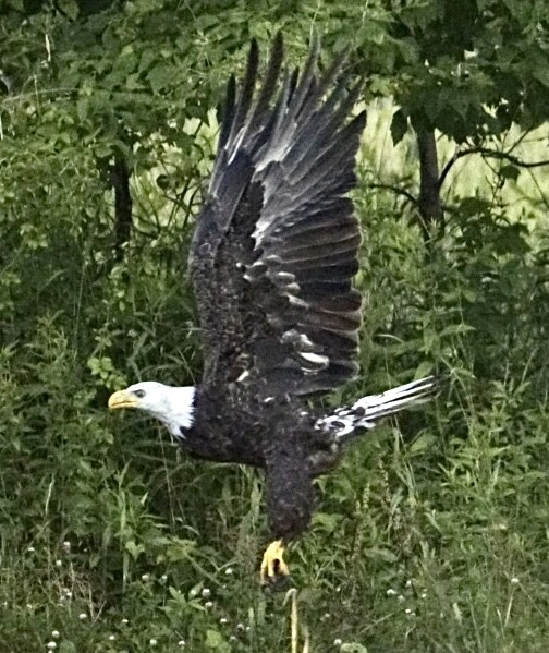 “Just passing Through”