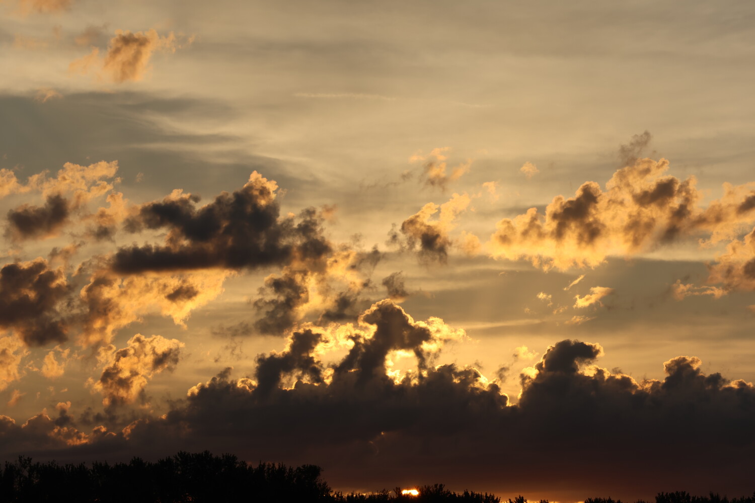 All dogs go to heaven.