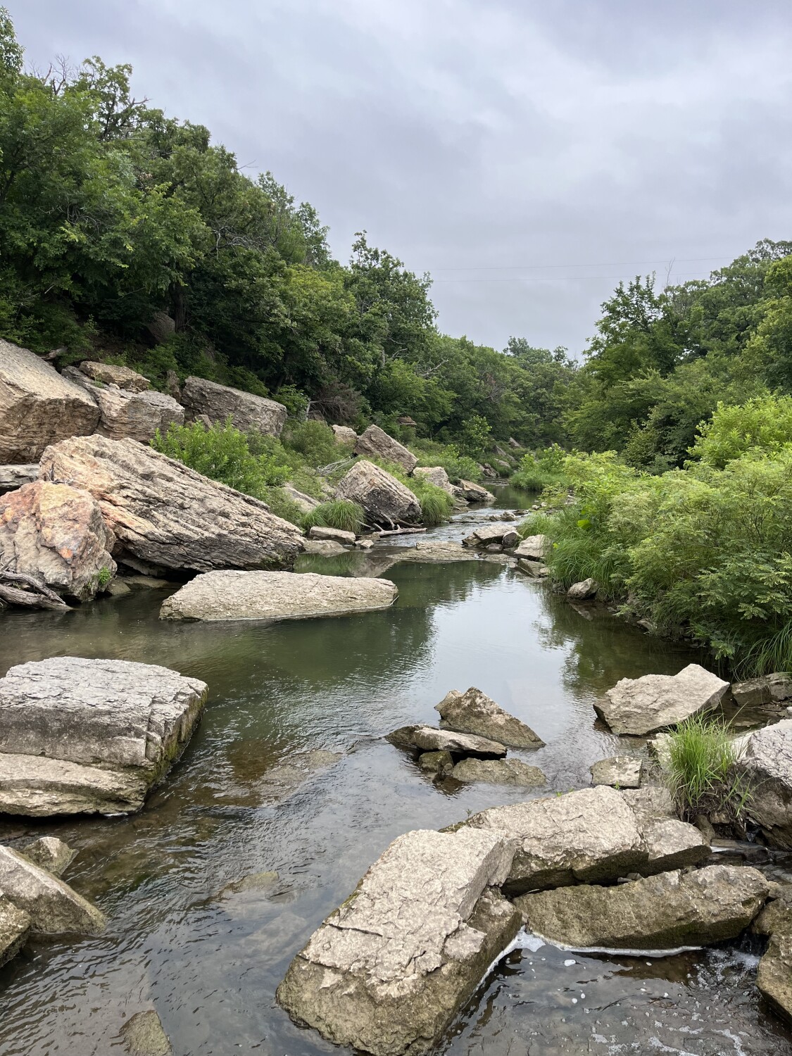 Enjoying a slice of nature