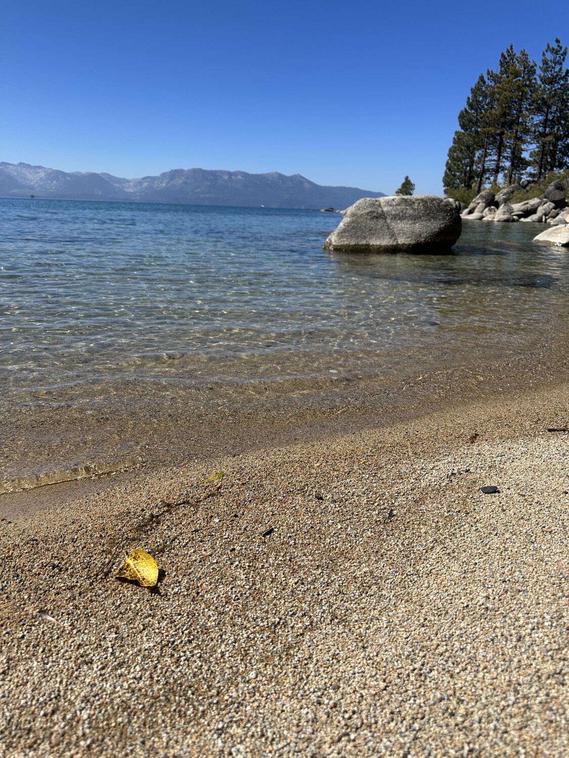 Mystical Tahoe