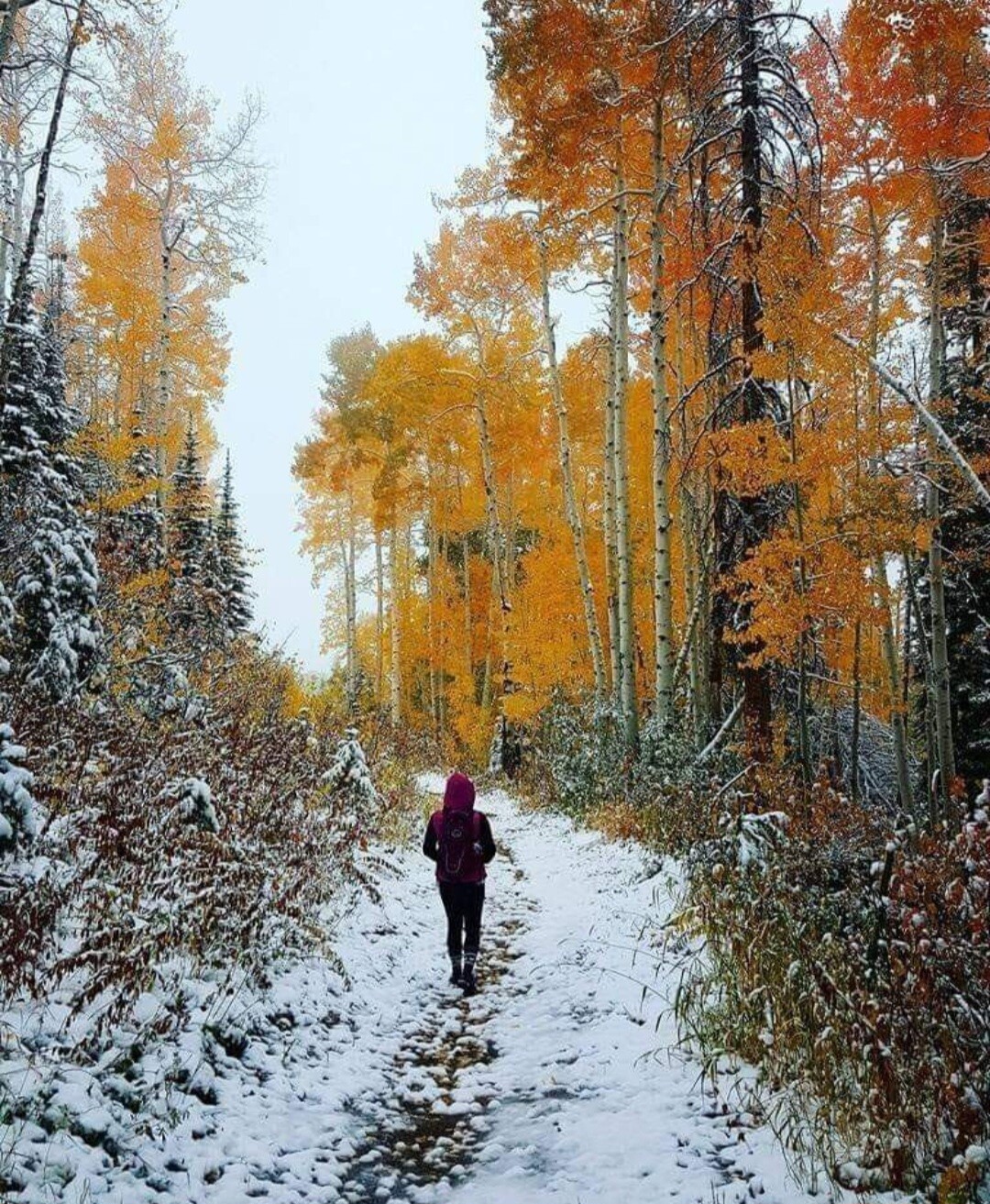 When Fall and winter collide