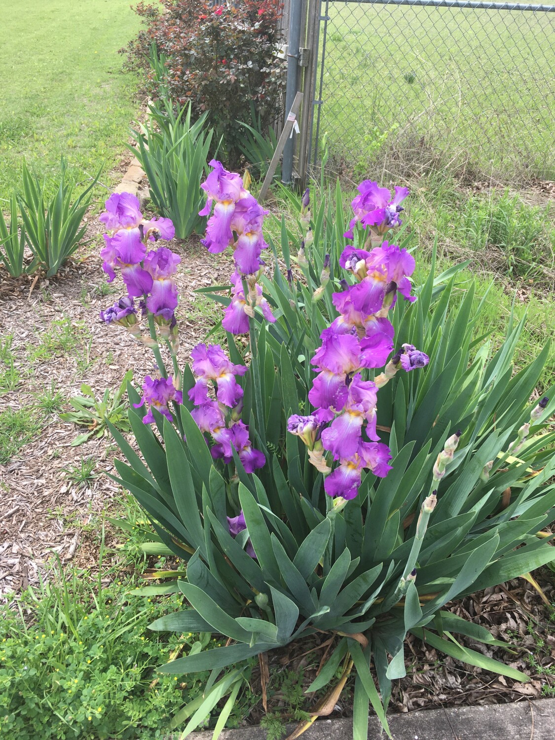 “This one’s Pink…”