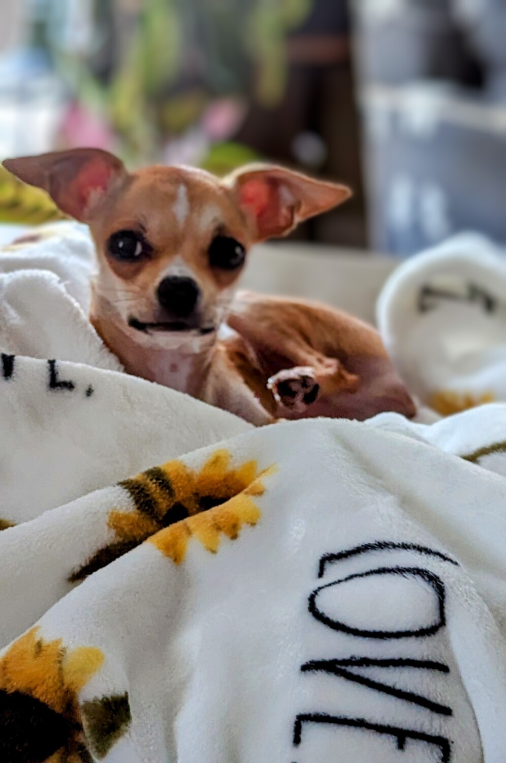 My lovely sunshine girl