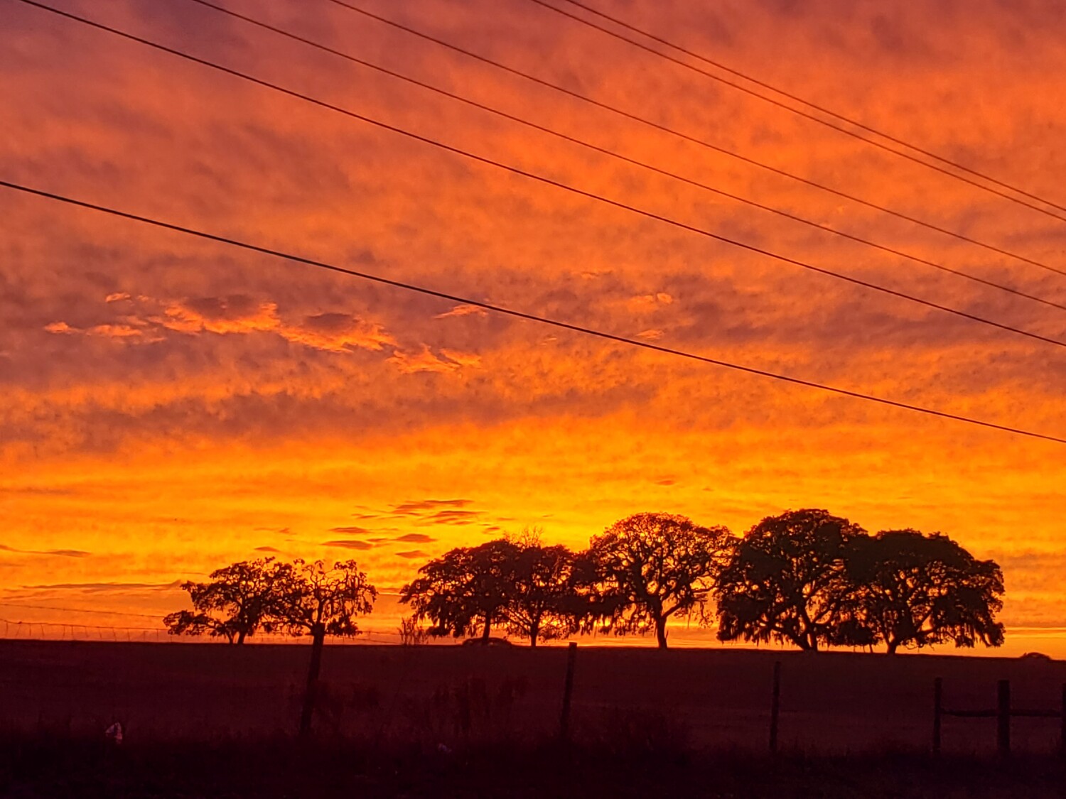 Sunset Northwest Central Florida