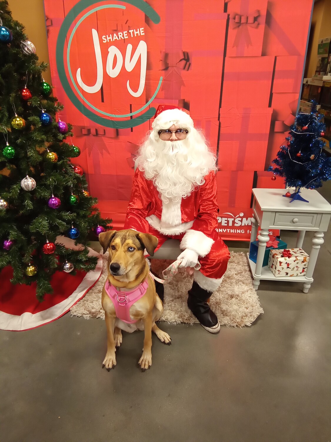 Reign  &  Santa