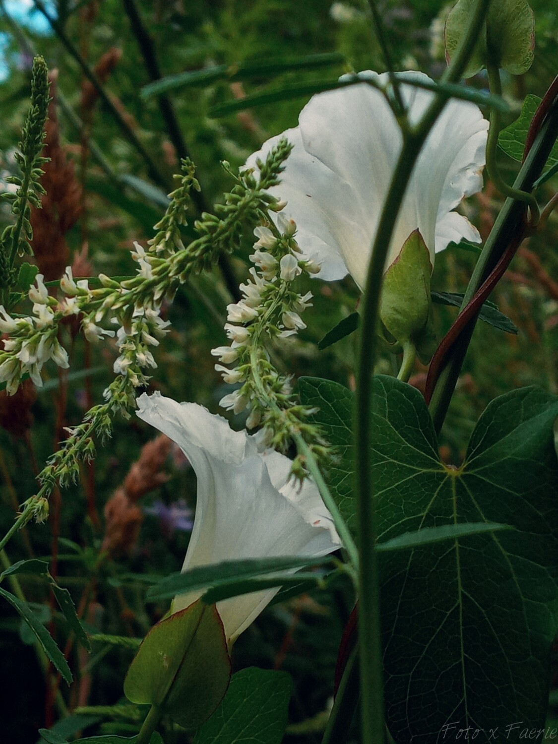 The Magic of a Moment