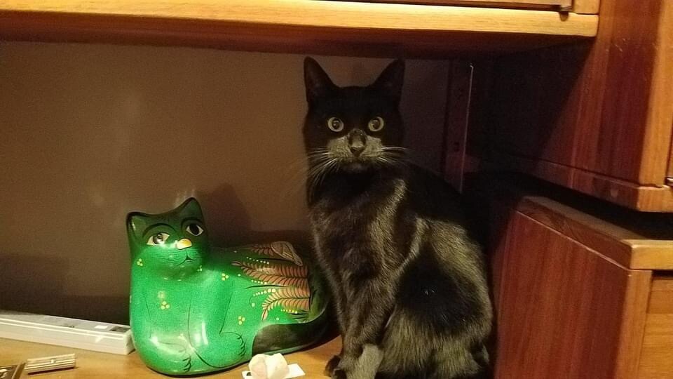 Kitty and her friend