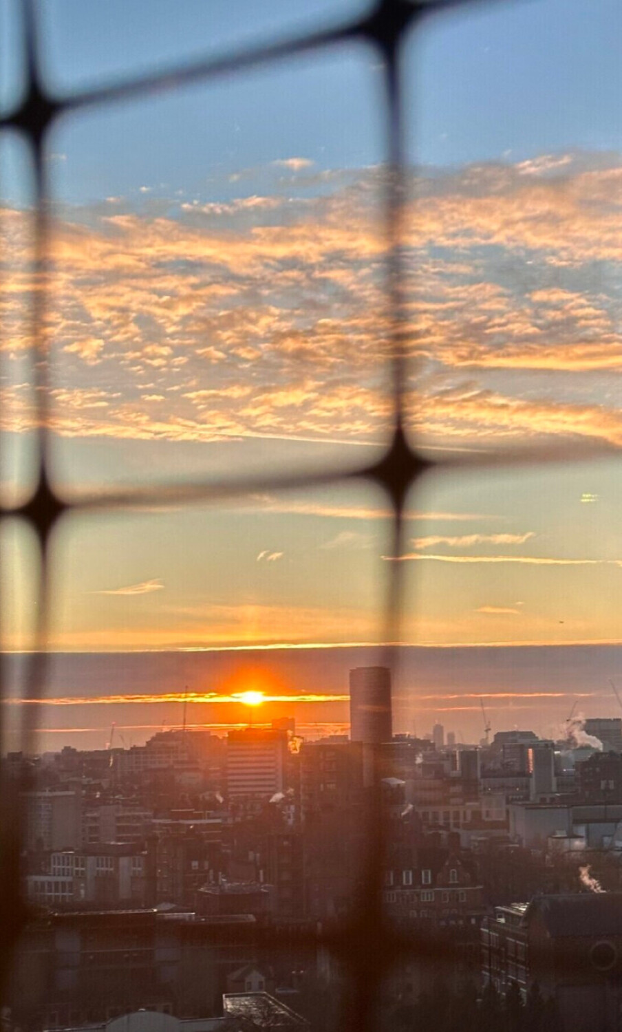 Golden Sunrise