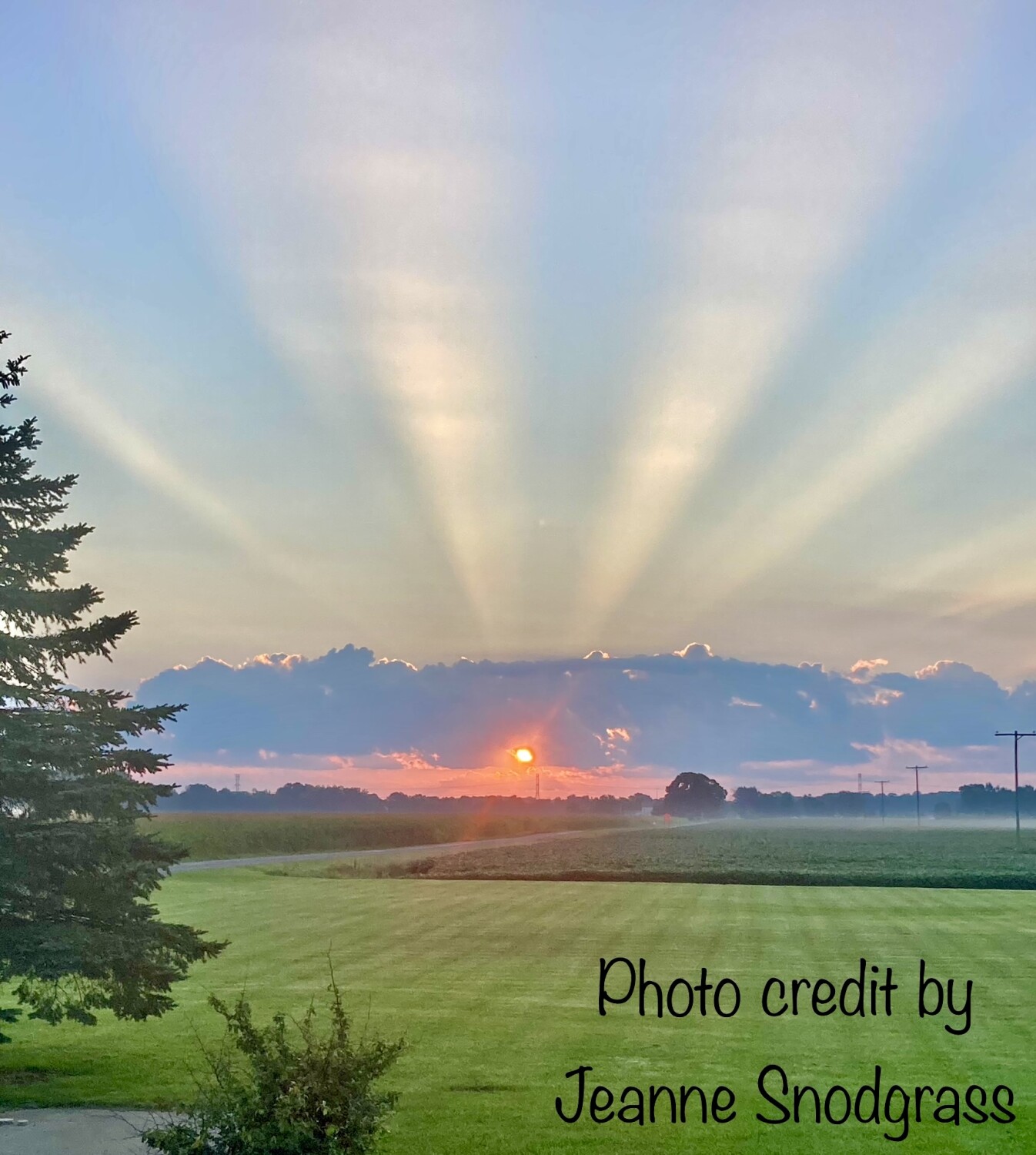 Ray’s of The Country