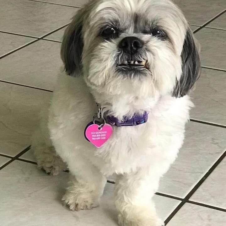 Rescue baby Nicolette