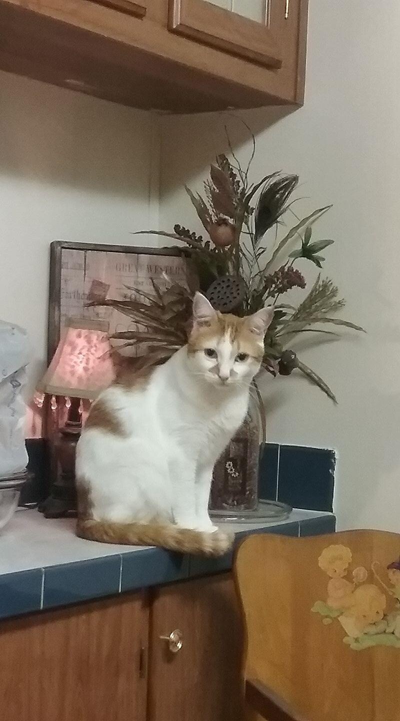 This is my sweet Fred!