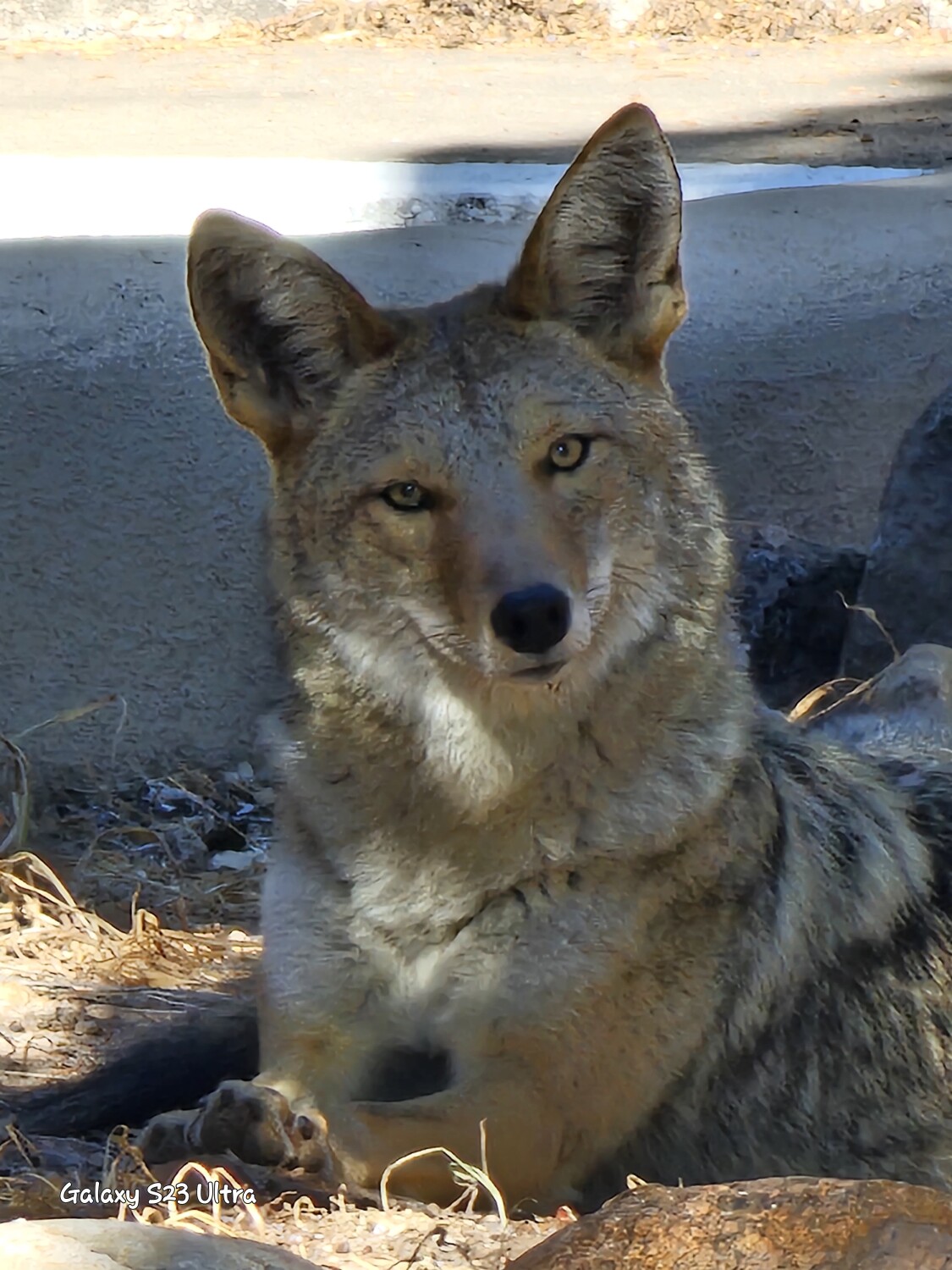 Good morning smiles..