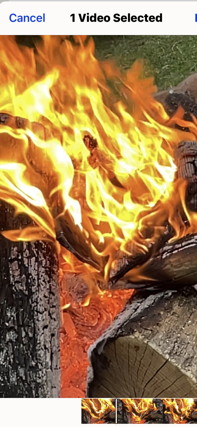 Mesmerized By The Flame