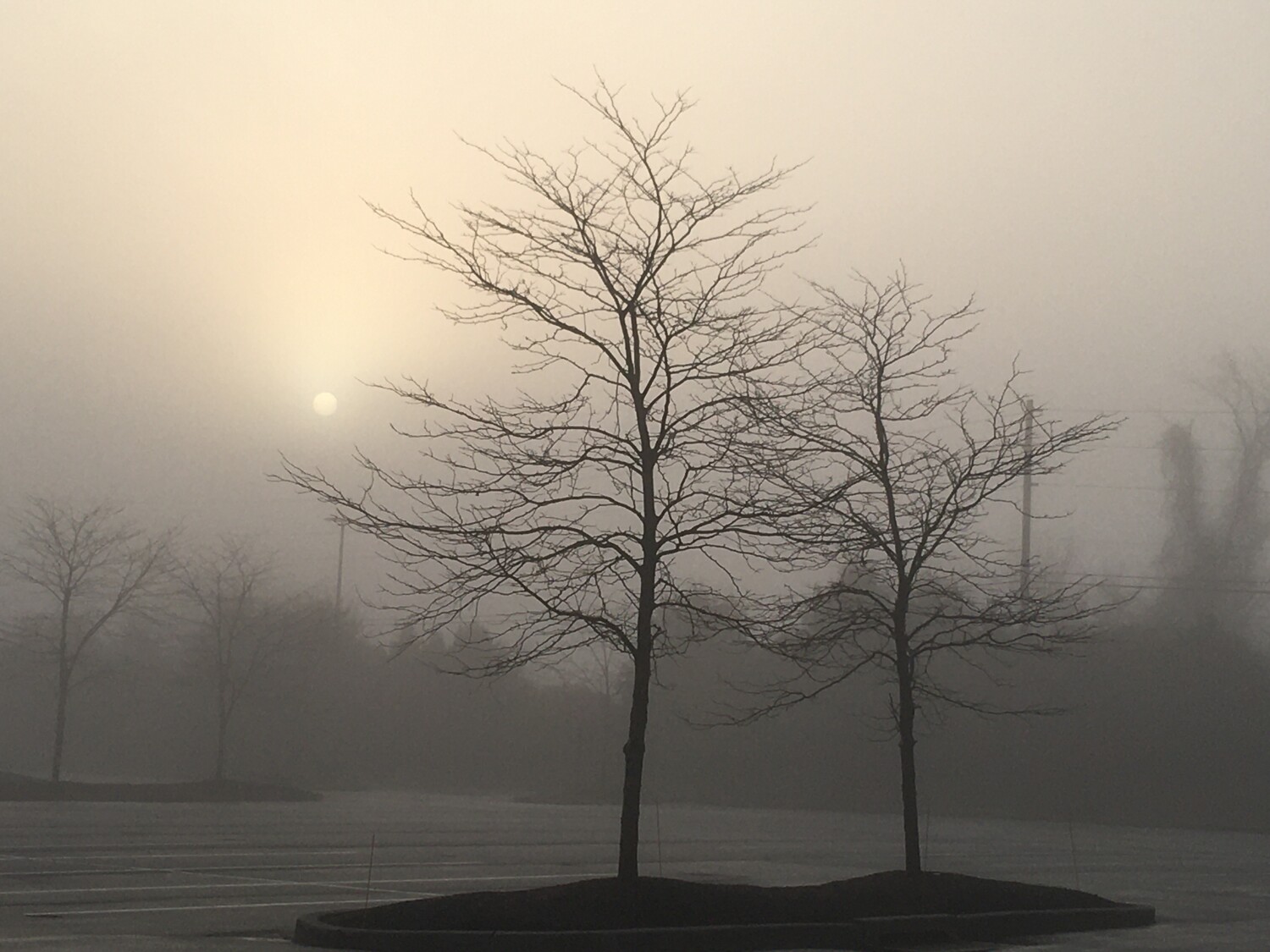 Two on an Island and Sun