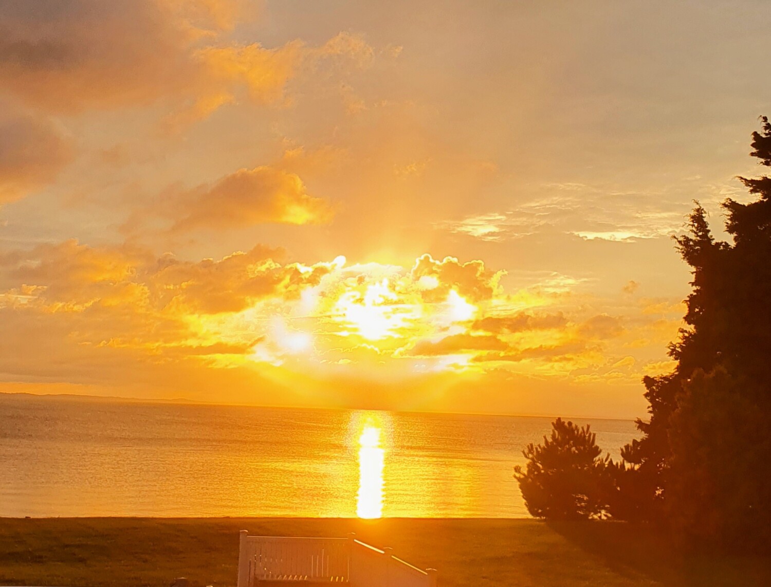 Chesapeake Bay Glory