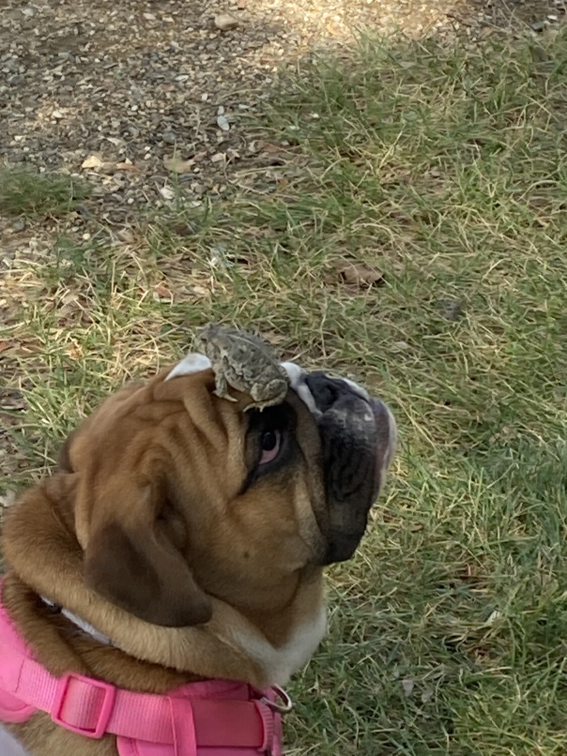 Looking for her prince