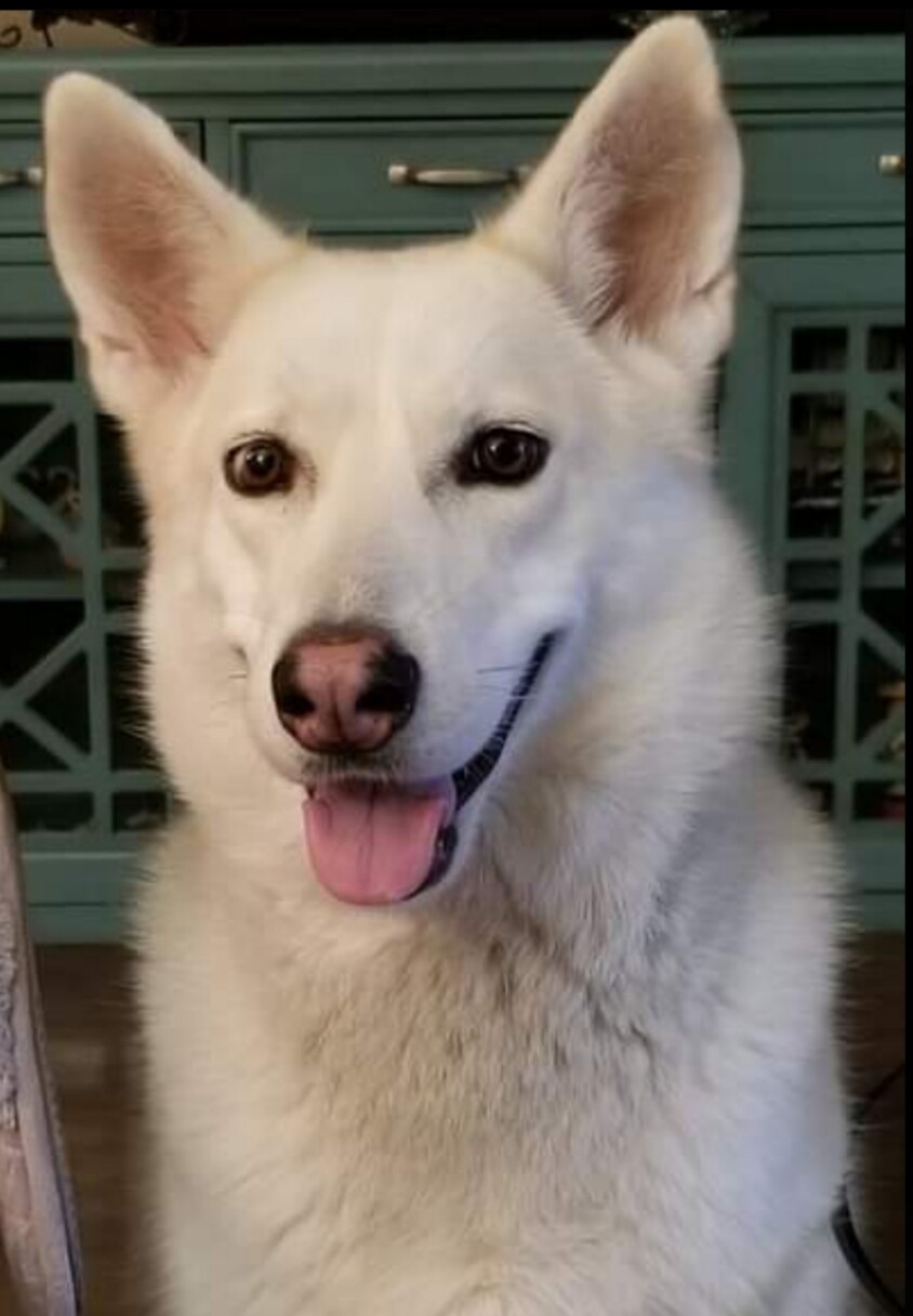 Waiting to go for a ride