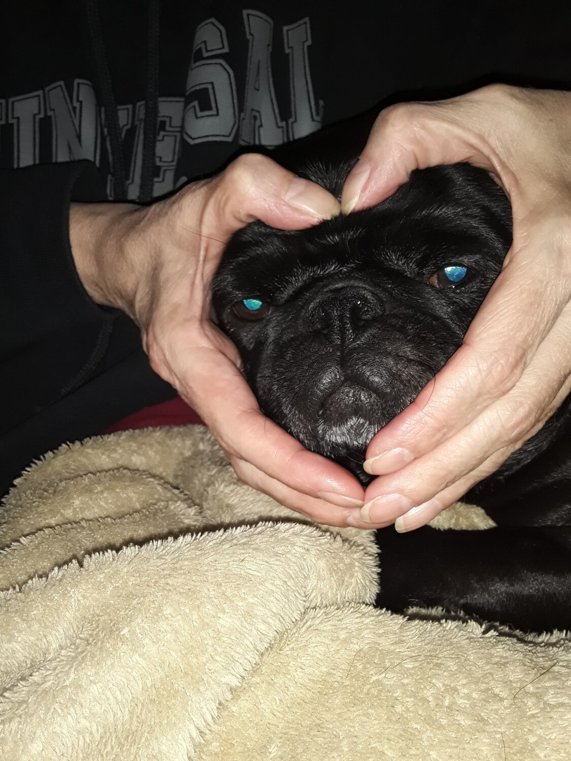 Midnite Is PURE LOVE ❤️