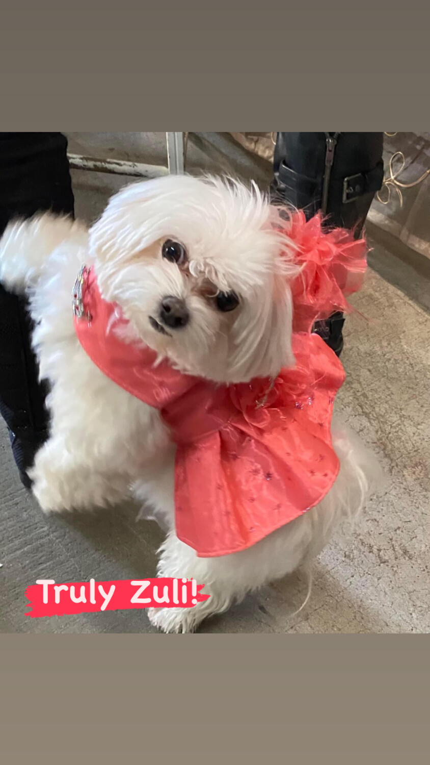 Christmas Book Signing 2022