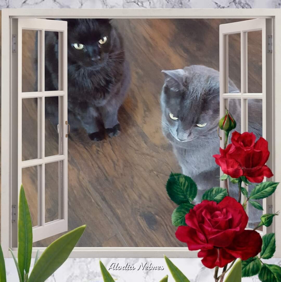 Love ❤️ of siblings