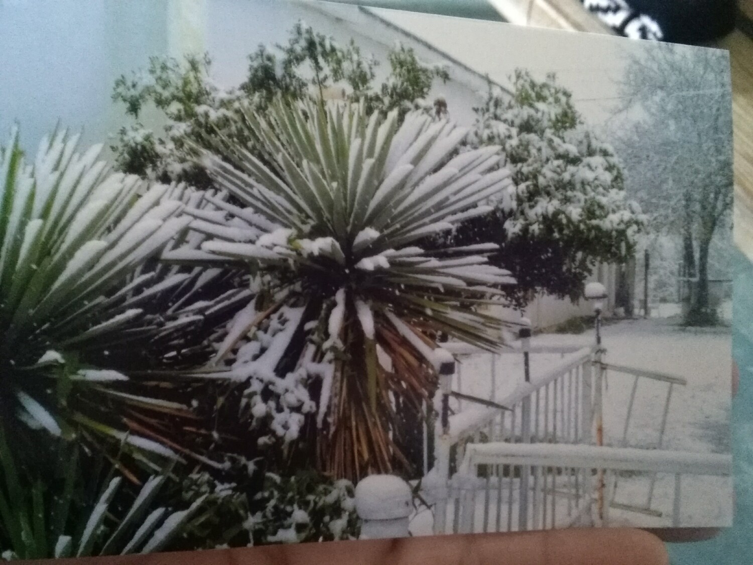 The  last snowfall in el indio texas