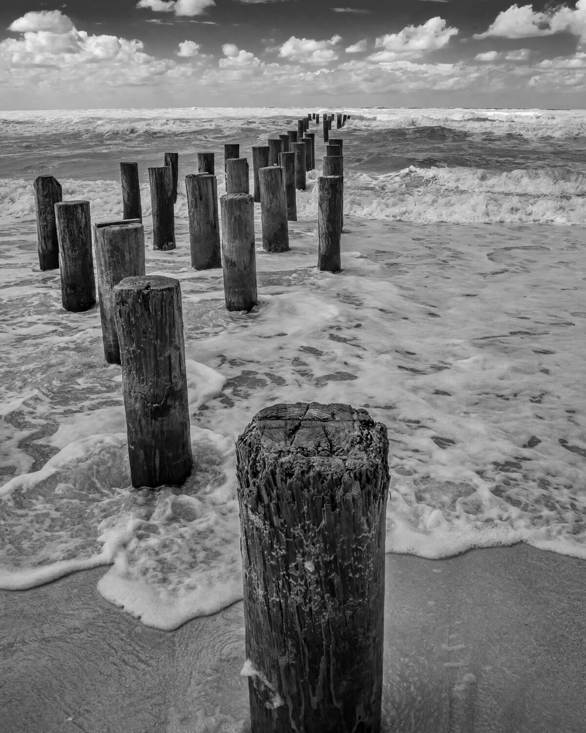 Old Pier Pilings