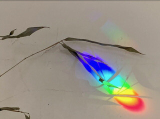 Bamboo meets Crystal