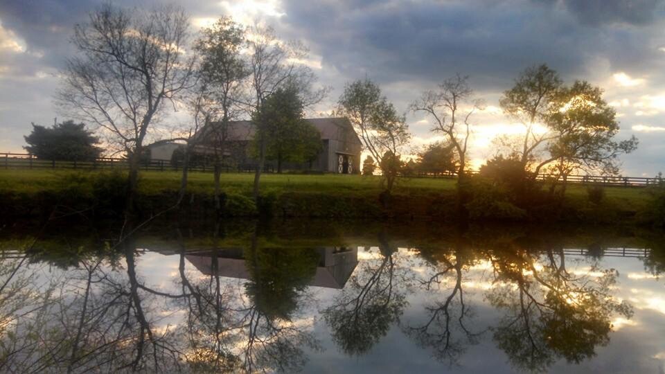 George Town KY 2016. Byars farm Tobacco barn