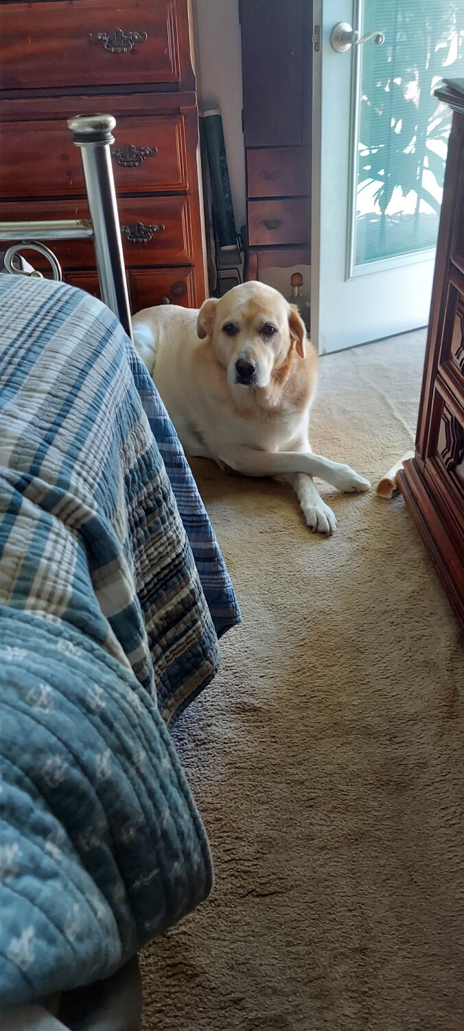 ISweet IZZIGREY,She is such a lady !!!