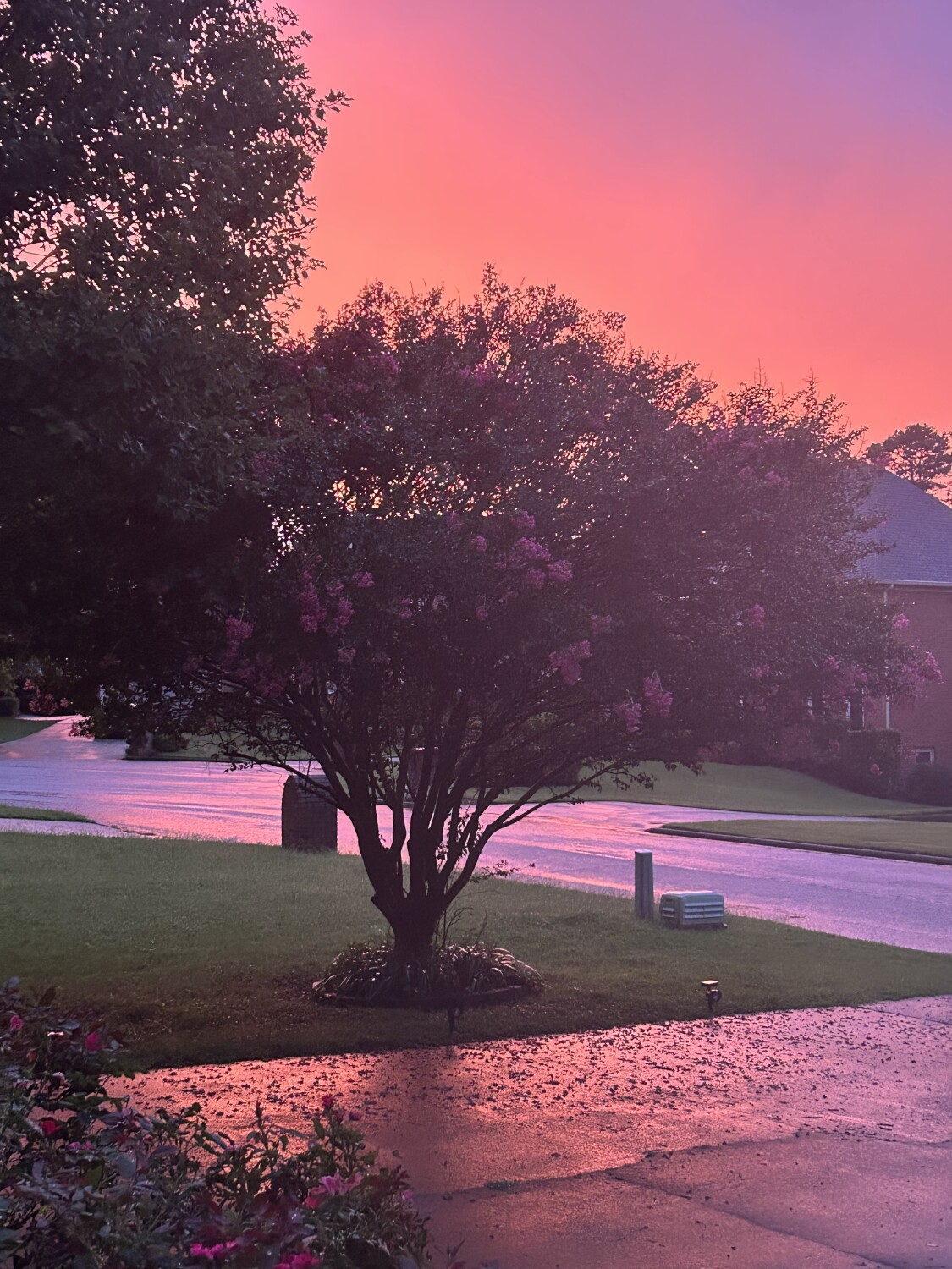 After the rainstorm
