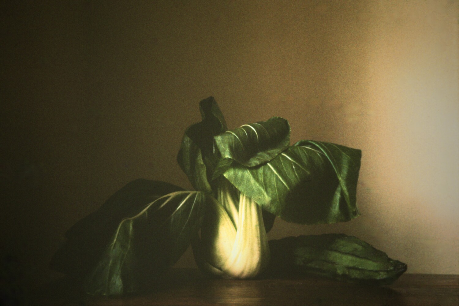 Bok Choy