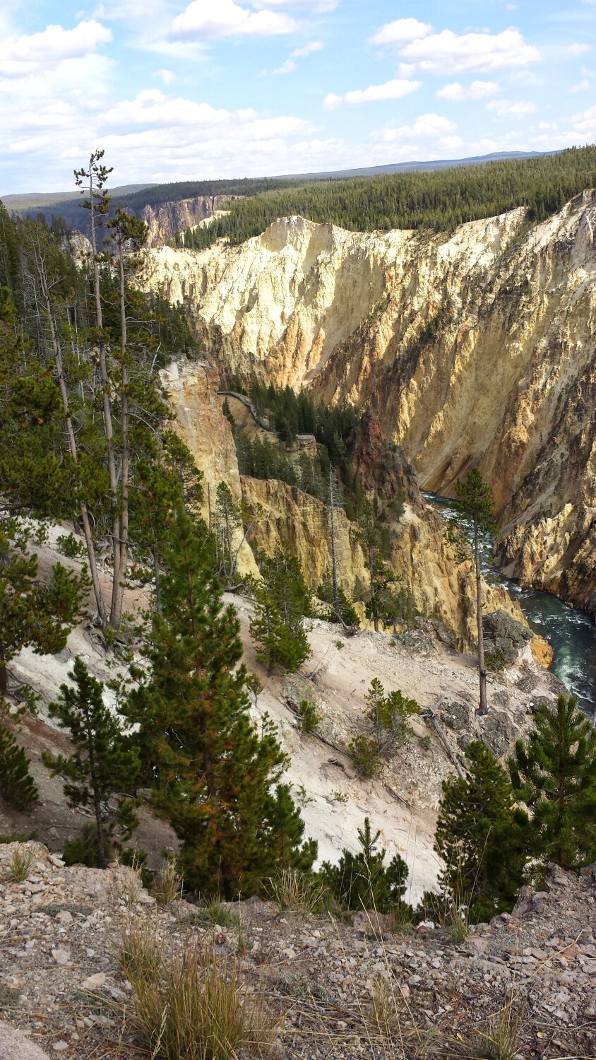 Yellowstone
