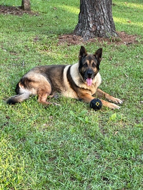 Zeus VomHause Mitchell