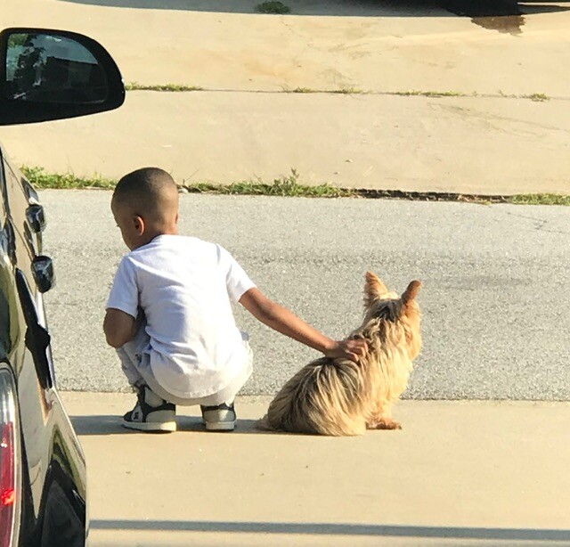 A boy and his dog