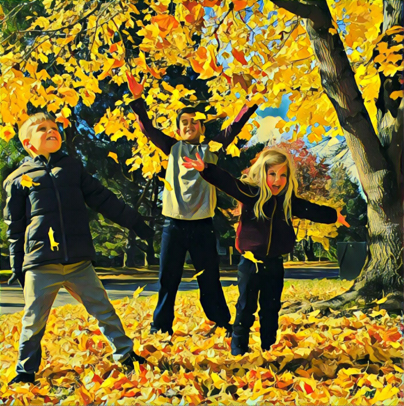 Autumn leaves
