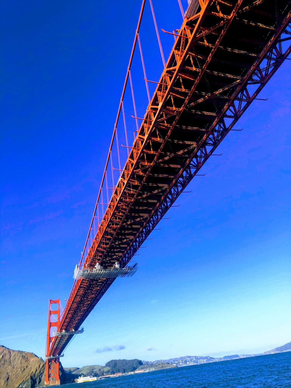 Under the golden gate