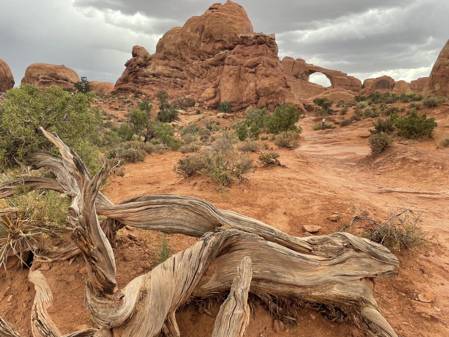 Arches National Park