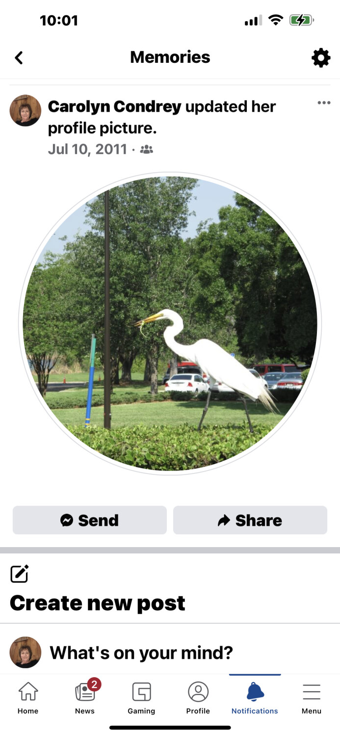 Crane and its dinner