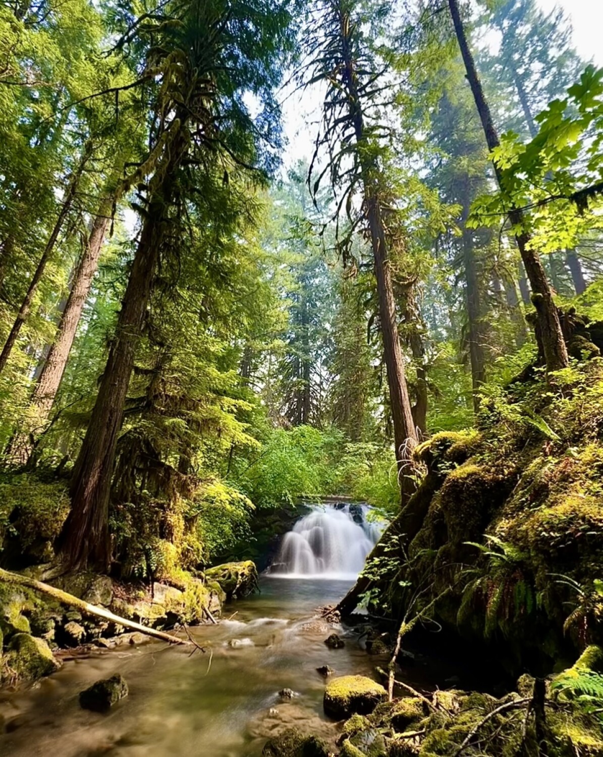 Hidden Oregon Waterfall