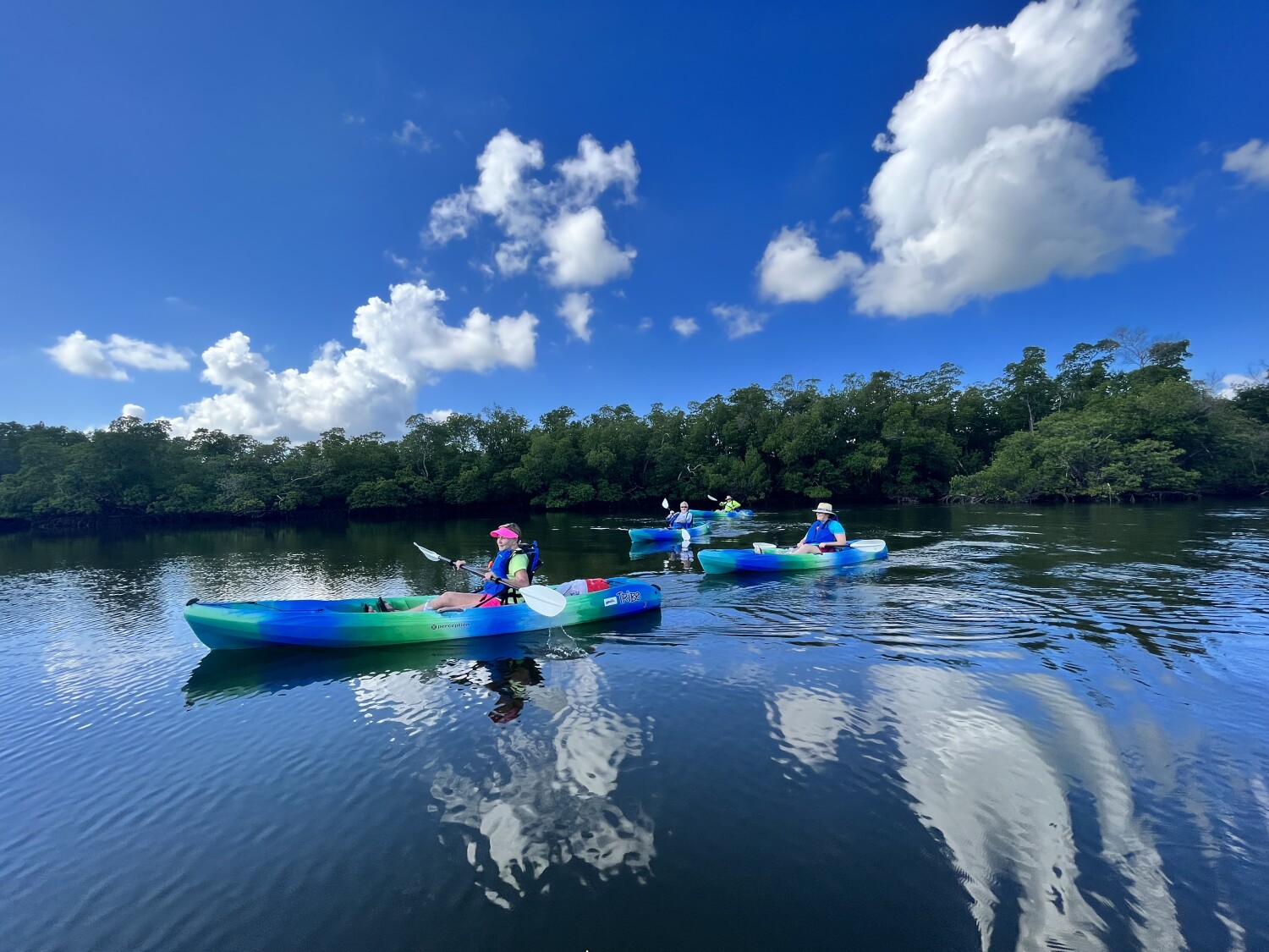 Kayaking Rookery Bay, Marco Island, FL