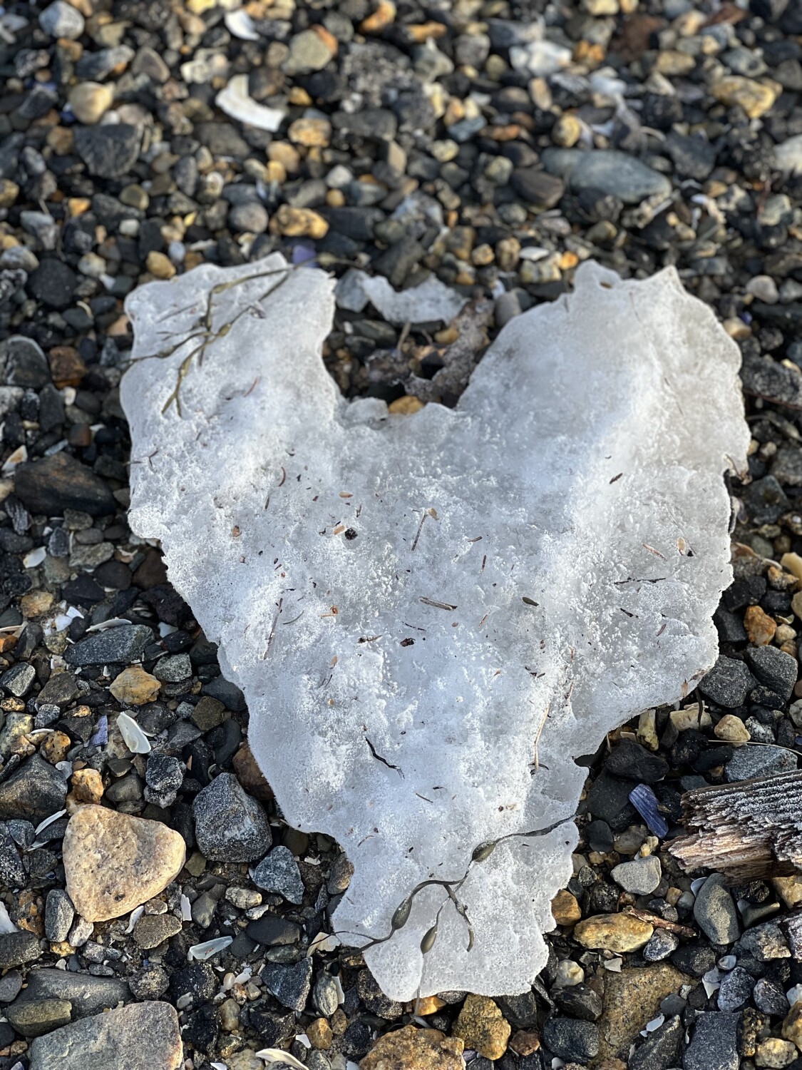 Beach Heart