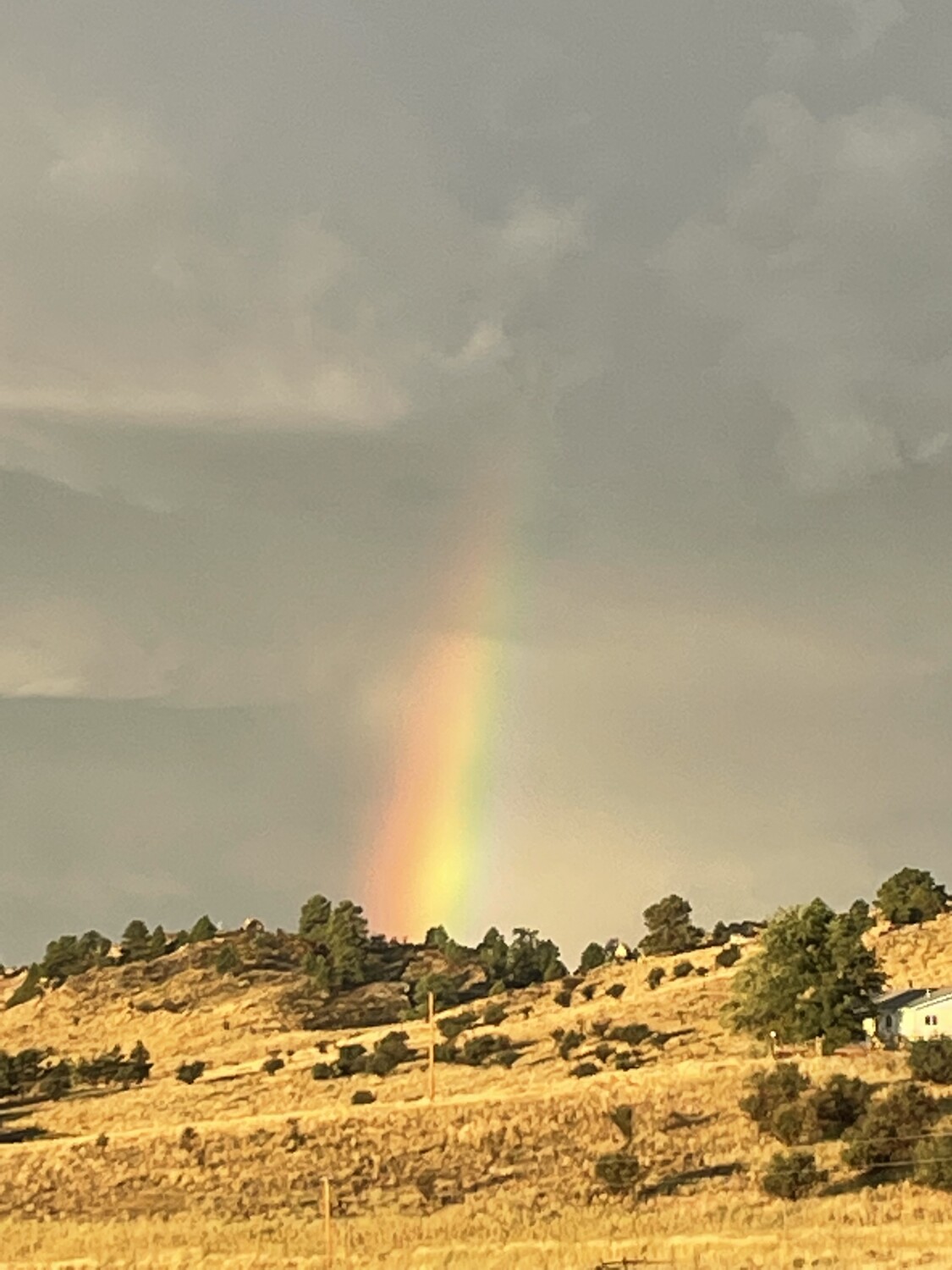 Colorado rainbow