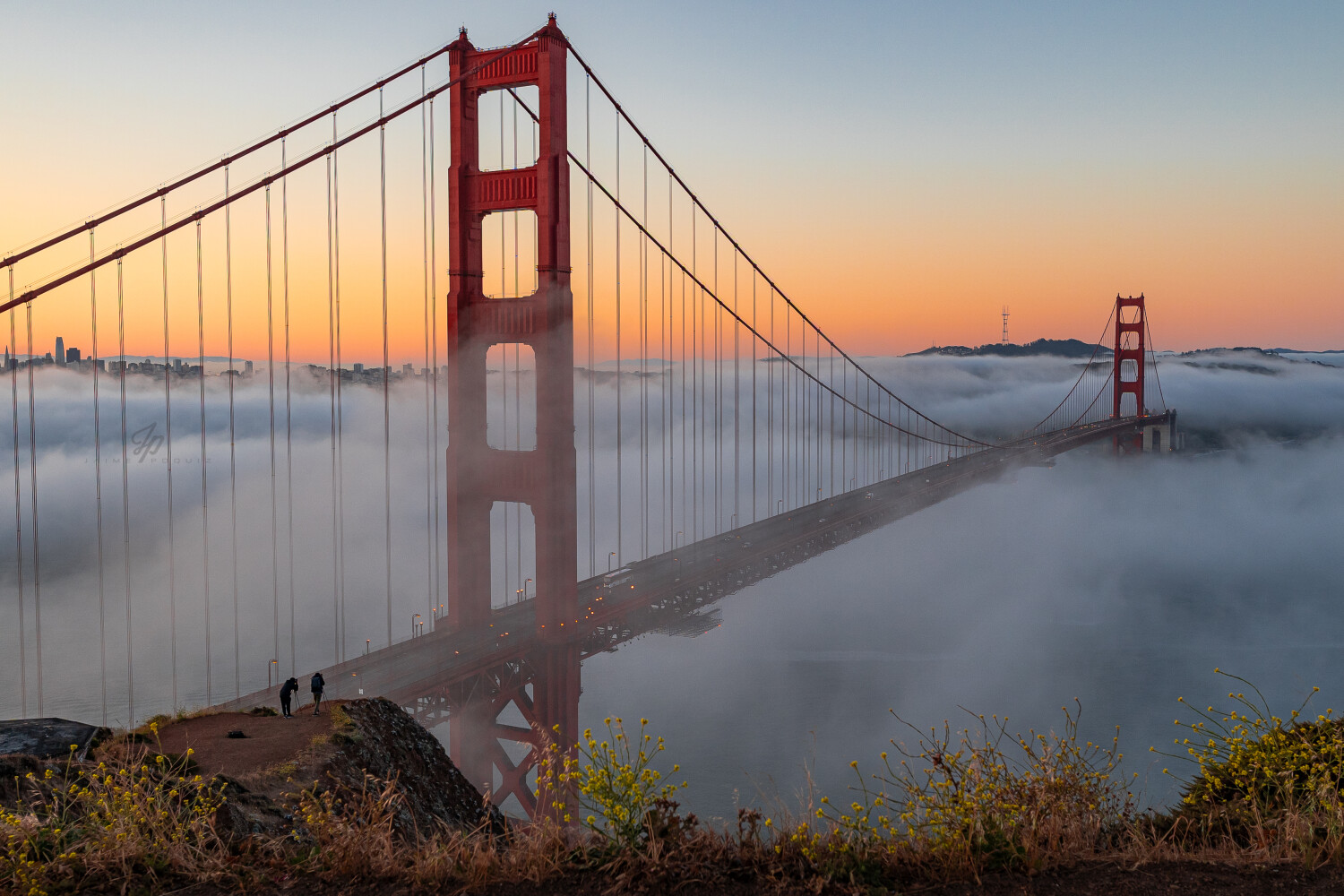 Golden San Francisco